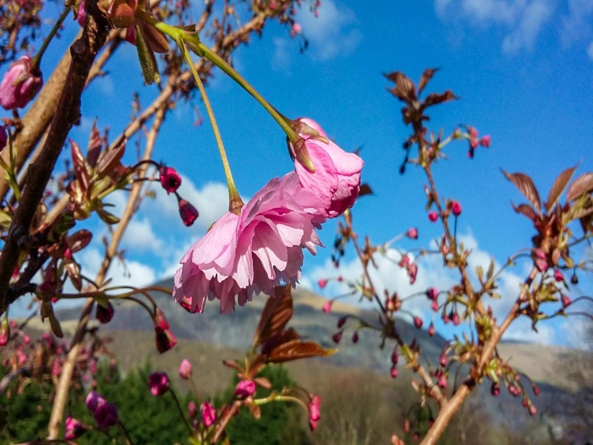 Padarn Hotel ลานเบอริส ภายนอก รูปภาพ